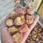 سكري قشر فاخر
