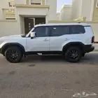 برادو 2025
