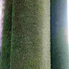 عشب صناعى جدارى وارضيات وديكورات سمكات مختلفه مقاوم للشمس