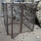 دجاج بلدي