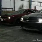 قيرات امريكي