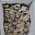 عود كينام صيني طبيعي فاخر جدا