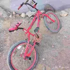 سيكل كوبرا جديد