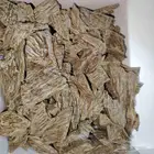 عرض خاص ولفتره محدوده ثمن من (العود الازرق - الكينام الصيني)
