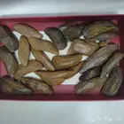 بخور مروكي طبيعي محسن