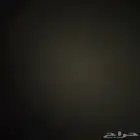 مطلوب عمال سمكره وبويا