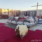 لوازم مخيمات وبيوت شعر