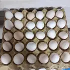 للبيع بيض دجاج بلدي جديد وجمع يومي الكميه محدوده 20لطبق