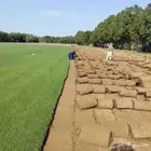 نجيله c2000. الطبيعي من اجواد انوع ثيل اتواصل ع الرقم