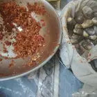 مكدوس سوري جديد طازج