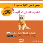 اسبوع الفطريات