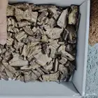 عود كينام صيني فاخر مستزرع