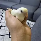روز اليف جدا جدا جدا