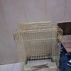 قفص عصافير