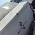 جميع انواع الرينو