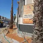 ابو عمار المزارع النخل أشجار تسنيق الحديق الزهور الدمام القط