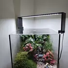 حوض زجاج كرستال نباتات طبيعية تيراريوم