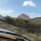 يوجد عندي صيد ابوشوك ن ي  والفهيم يفهم بري كل فتره يتم صيده