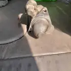 سلف جمس انفوي للبيع