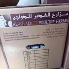 كراتين بيض شركة الغدير