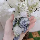 فرخ صن كنيور صبغه مره قويه ((تم البيع))