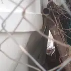 السلام عليكم