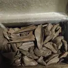 عود مقتنيات ماروكي فاخر طبيعي