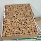 تمور القصيم