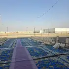 كراسي كنب فرشات عقود زواجات ركن ضيافه صبابين بيوت شعر ابيض ا