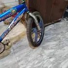 للبيع سيكل كوبرا اصلي (على السوم)