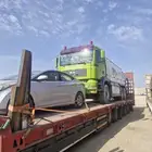 لوبد متواجد حفرالباطن