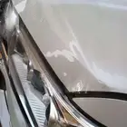حمايه وجهيه PPf