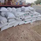 تمر حلال في المدينة