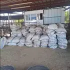 أكياس دمن سوق الغنم للبيع