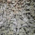 عود محسن فاخر. الآن الكيلو ب1500