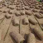 مزرعه ثيل طبيعي