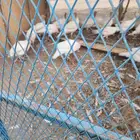 دجاج رومي للبيع