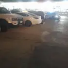 أعرض لكم لوحات للبيع