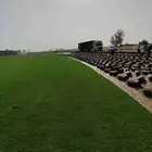 ثيل طبيعي بالخرج