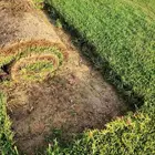 ثيل طبيعي امريكي