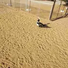 بح اللوان