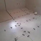 مبلط سيراميك ورخام بالطائف وضواحيها