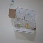 ببغاء روز اصفر