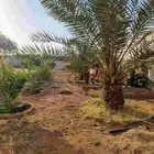 استراحه للبيع او للايجار طويل الاجل