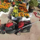 قص تيل طبيعي و مشتل زراع طبيعي