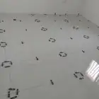 مبلط بلاط عبدالواهاب