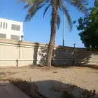 تنسيق الحديق أشجار الزهور الزراعه النخل في الدمام القطيف