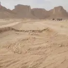 معم حجر في جميع المملكه
