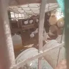 للبيع حمام نضيف