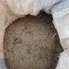 دمن او سماد غنمي